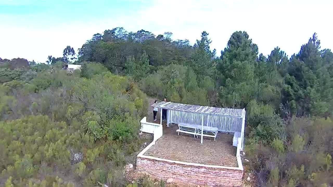 Protea Wilds Retreat Hotel Harkerville Exterior photo